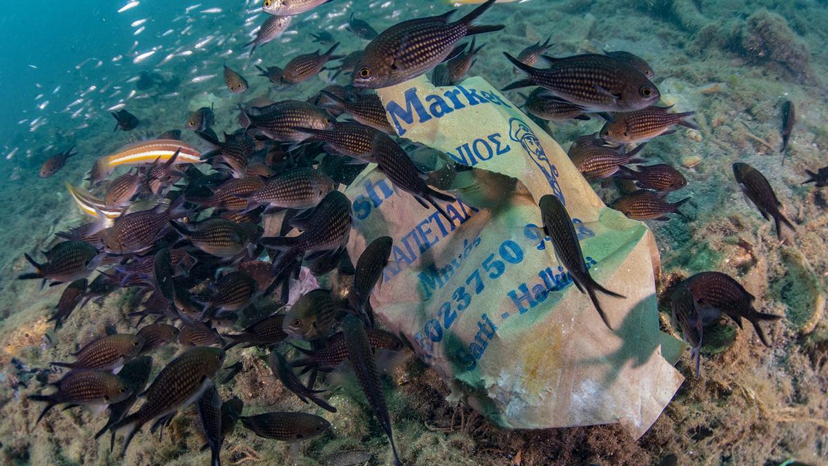 Un resto de plástico en el fondo marino balear.