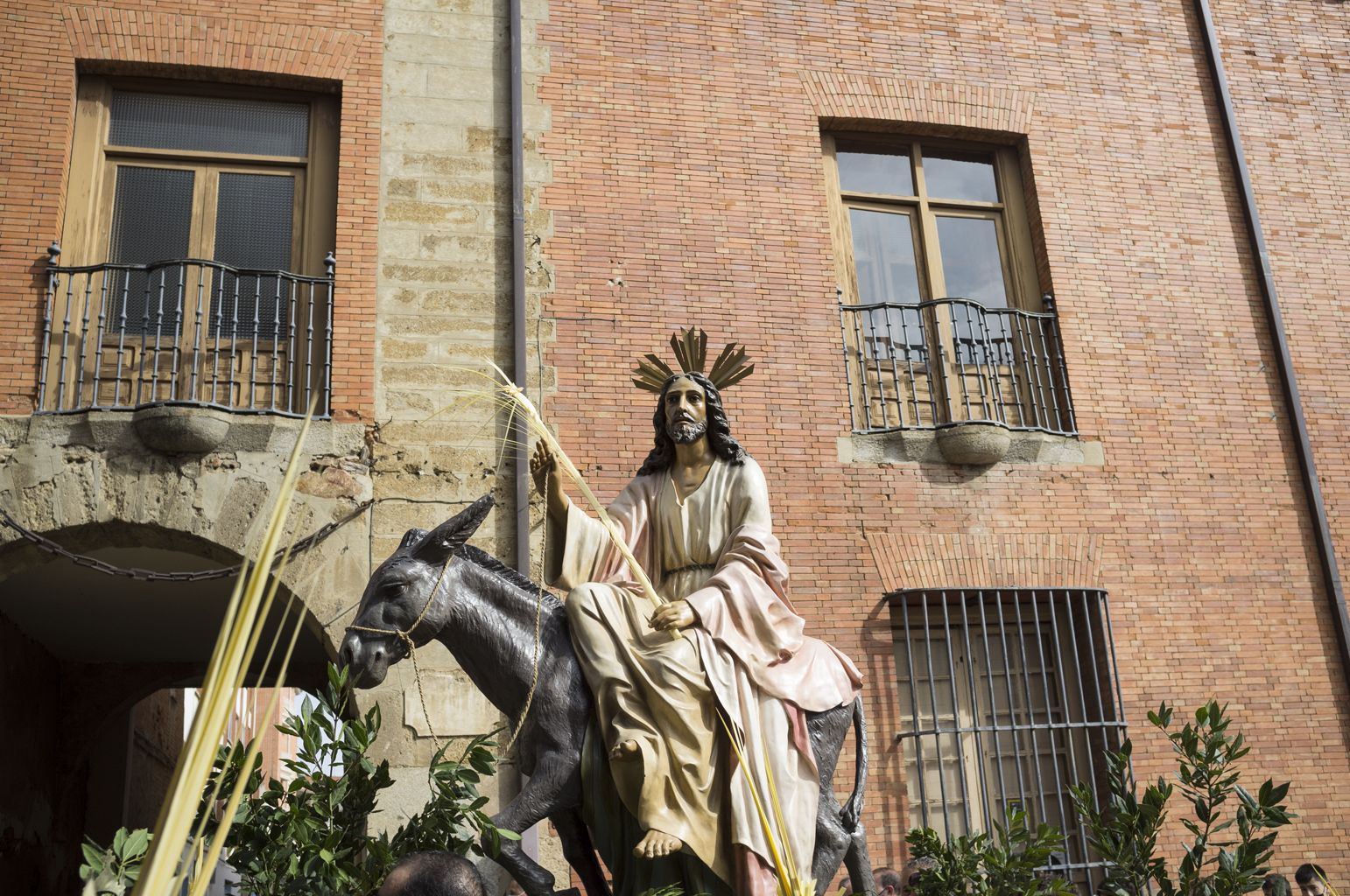 La procesión del Domingo de Ramos en Benavente en imágenes