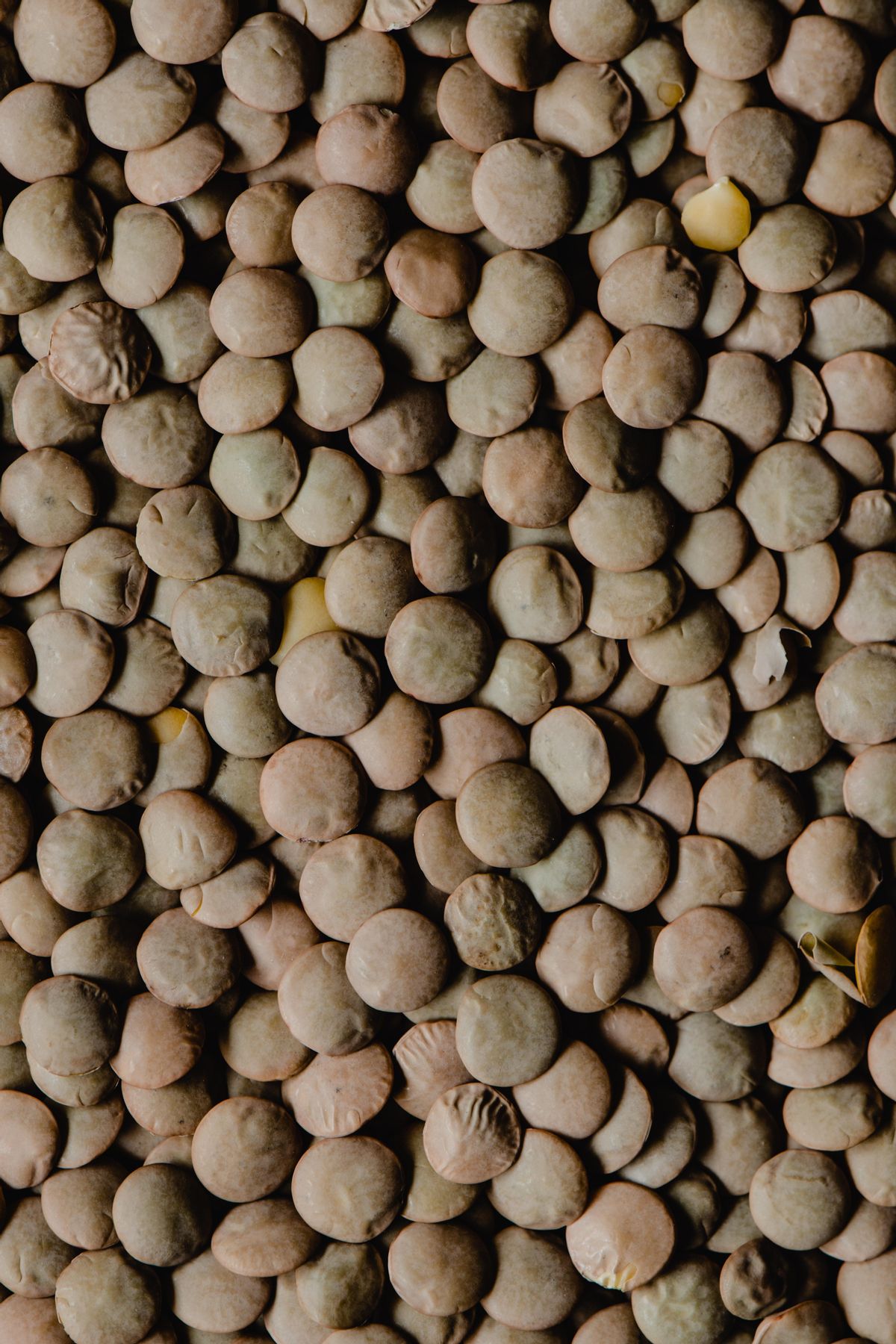 Las legumbres son el mejor alimento para bajar el colesterol.
