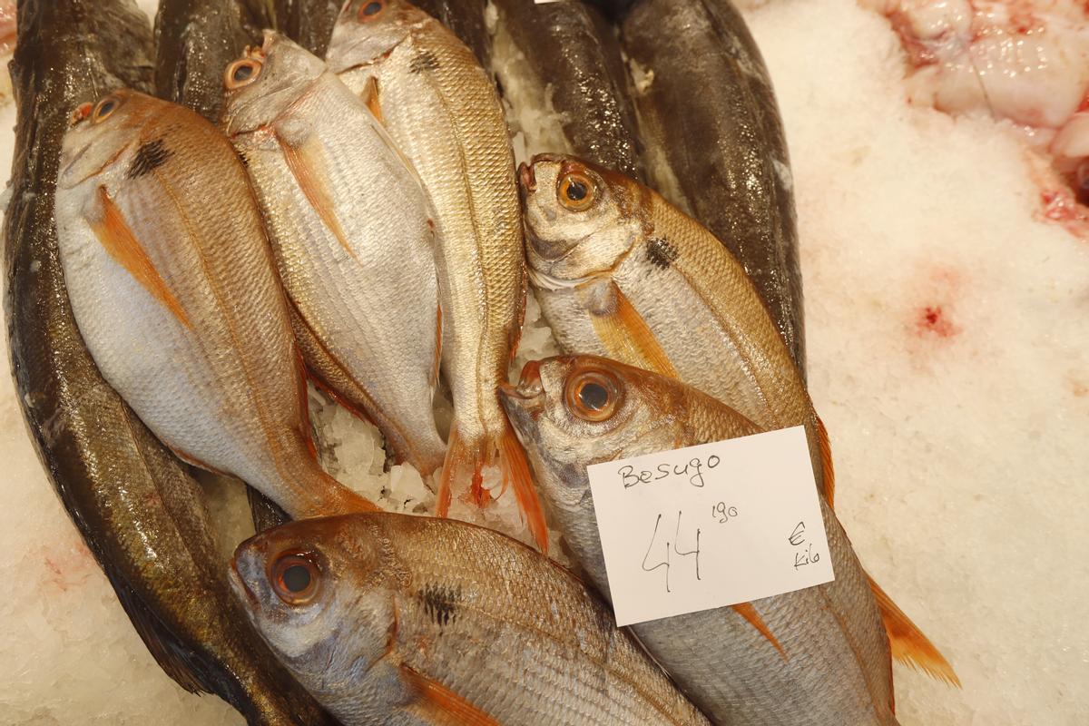 El precio del besugo y del pescado en general se ha disparado.
