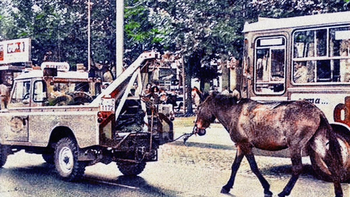 Mula retirada por una grúa, 1983