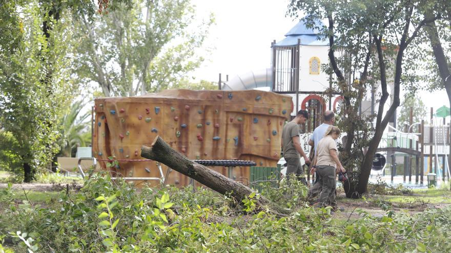 El Zoológico de Córdoba reabre este viernes tras corregir los daños de la tormenta Bernard