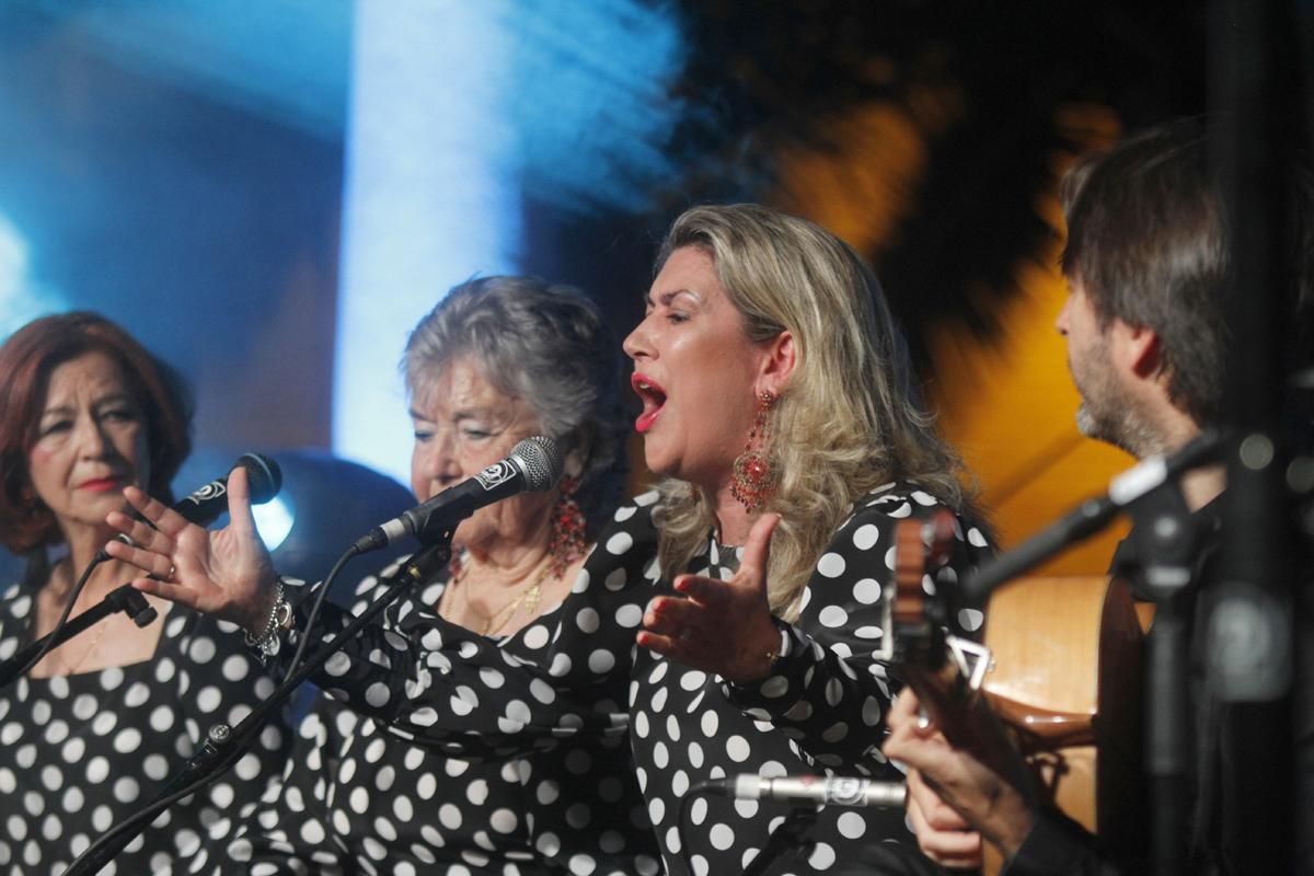 FOTOGALERIA / Las mejores imágenes de la Noche Blanca del Flamenco