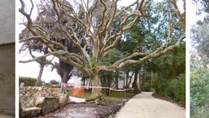 Fachada de la casa principal de la finca, magnolio y parte del estanque y sendero entre tejos y setos que parte de la entrada.