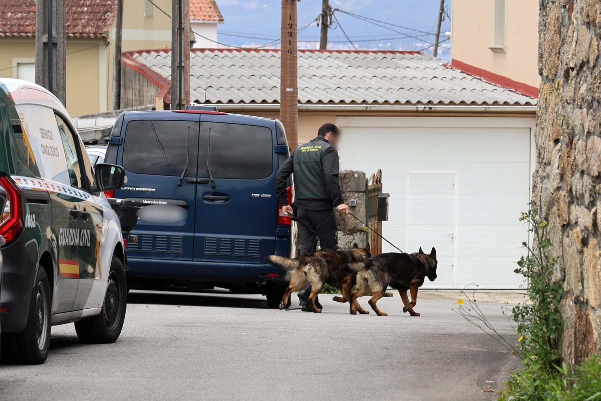 La Guardia Civil movilizó a los perros de la unidad cinológica.