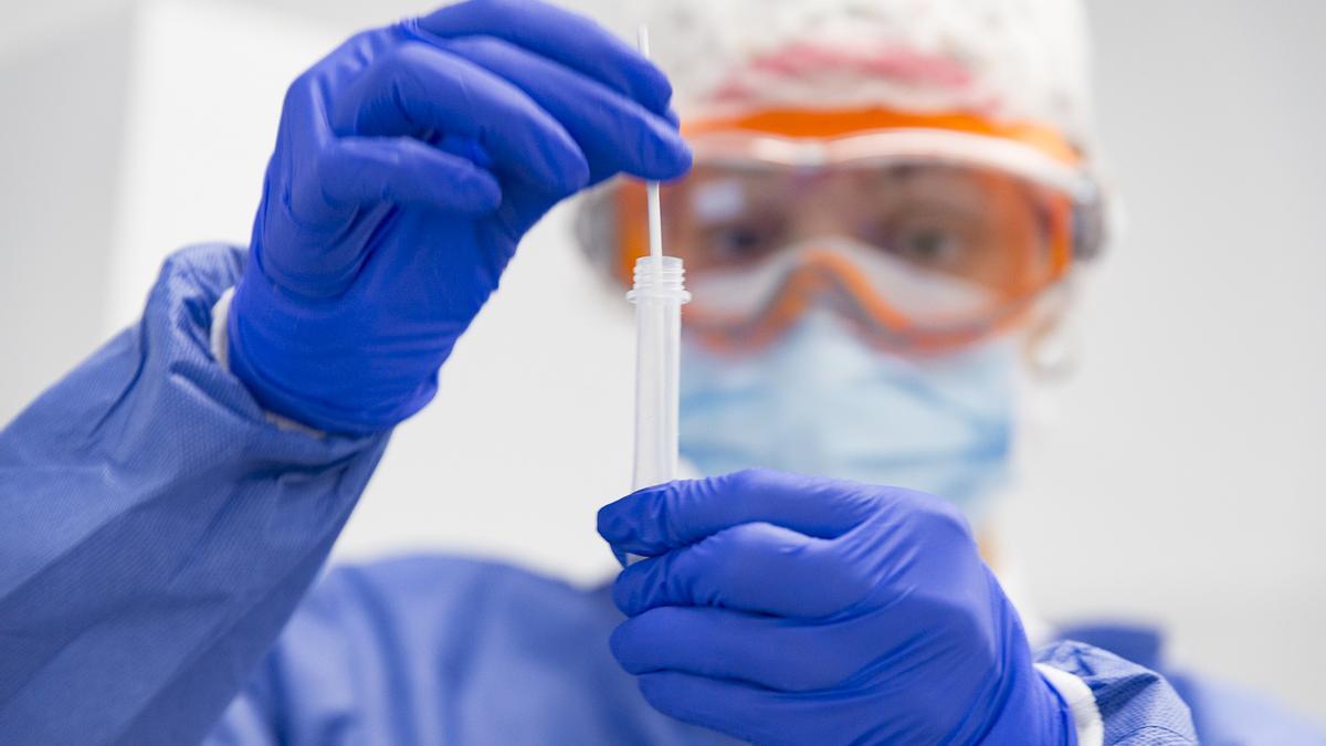 IMED Hospitales realizará test de antígenos y PCR conjuntamente.