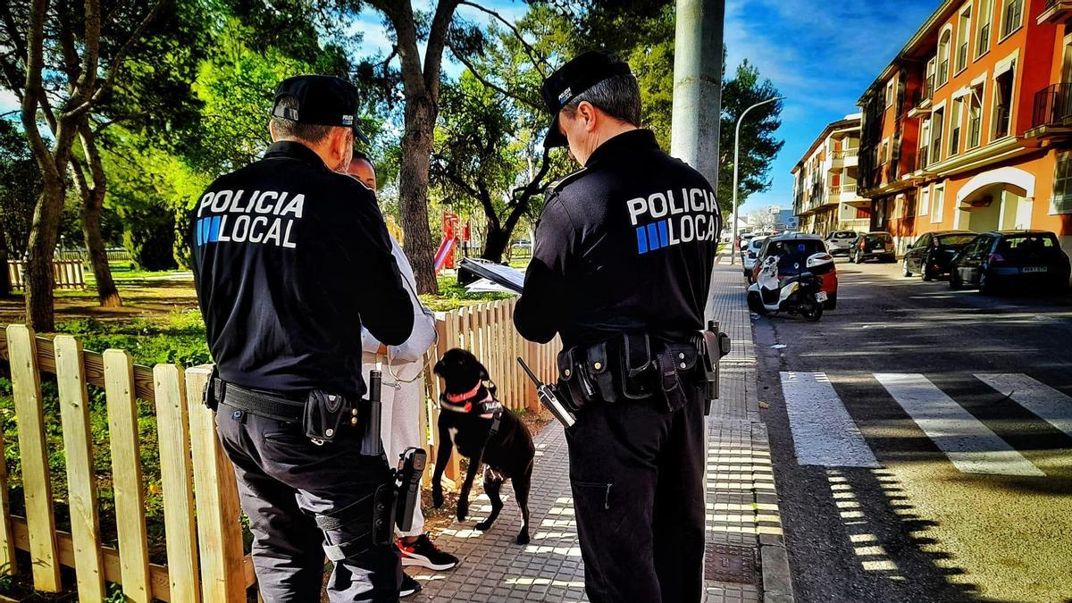 Uno de los perros examinados esta semana por la Policía de Inca.
