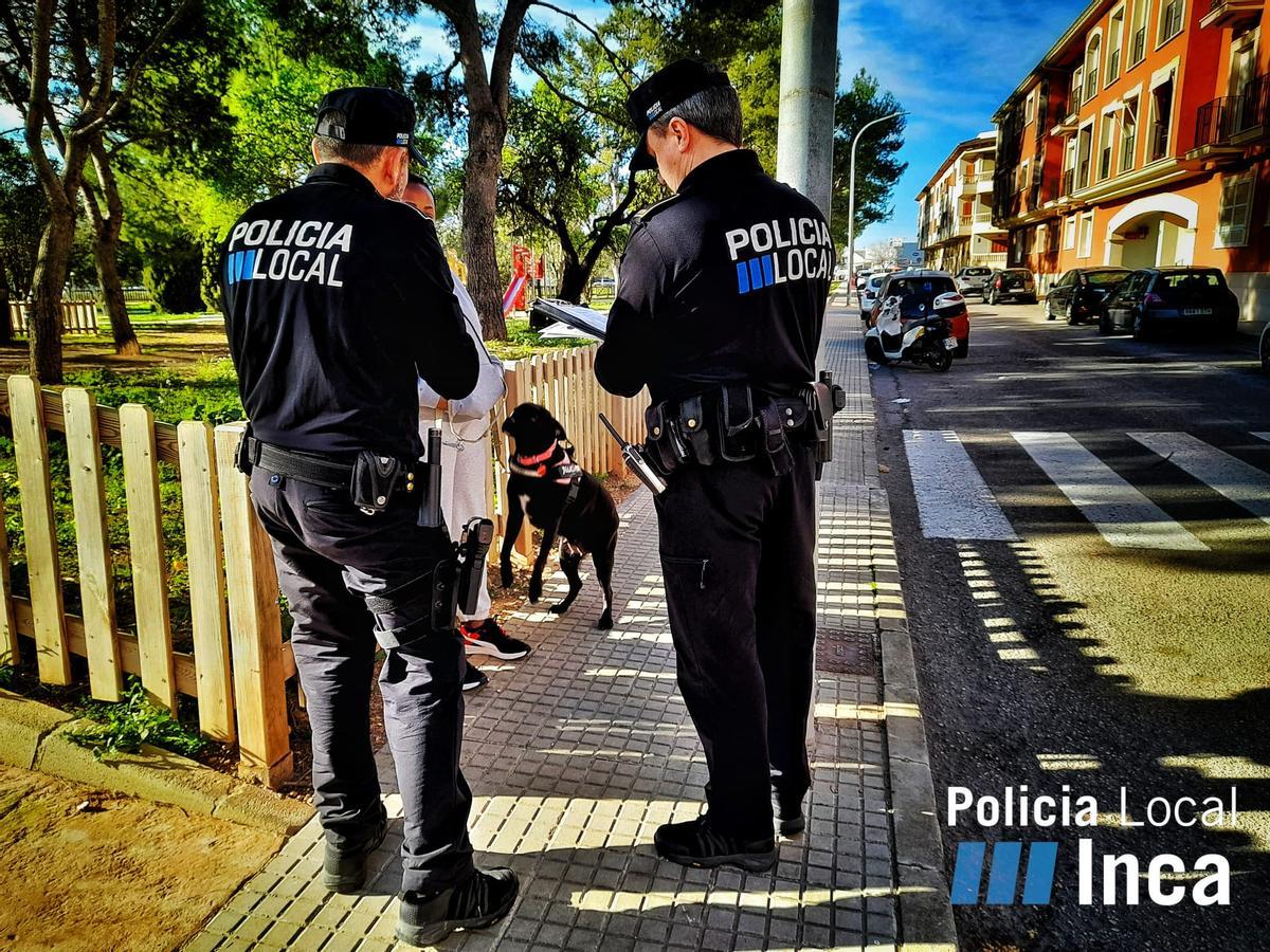 Uno de los perros examinados esta semana por la Policía de Inca.