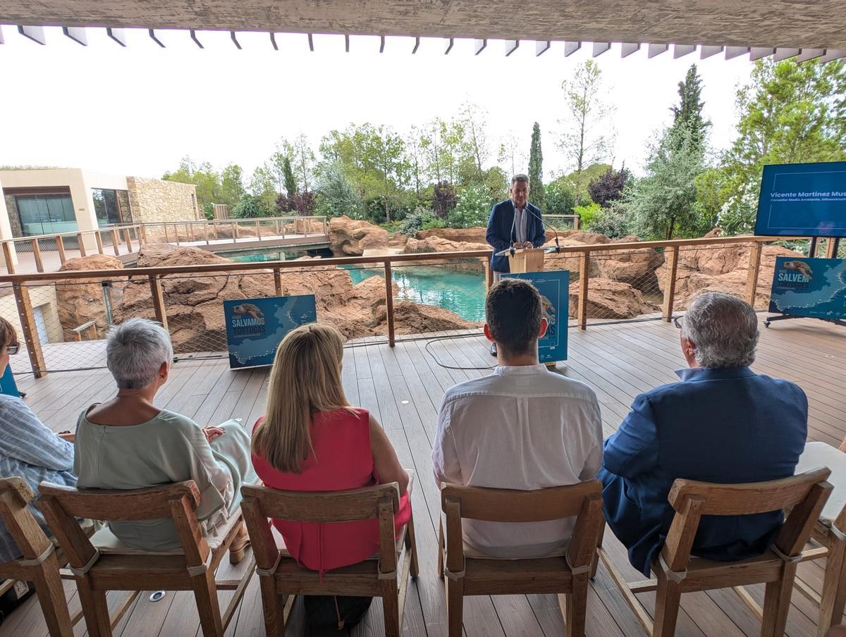 GALERÍA I La presentación de la nueva campaña para rescatar tortugas marinas, en imágenes