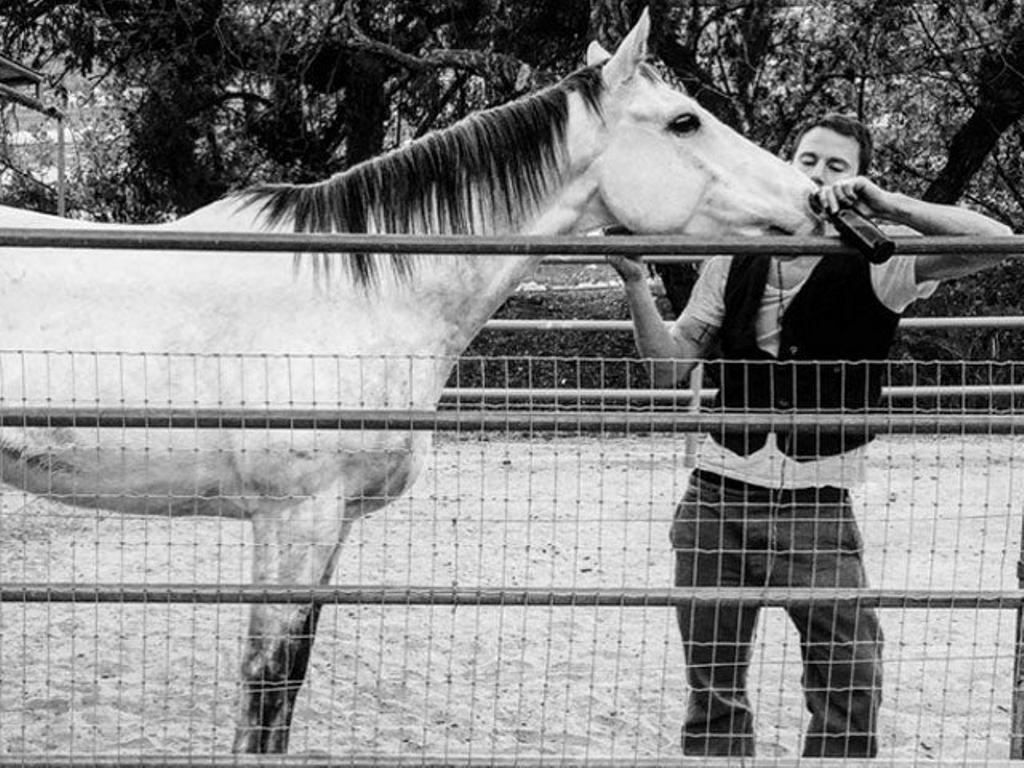 Channing Tatum, feliz con su caballo adoptado