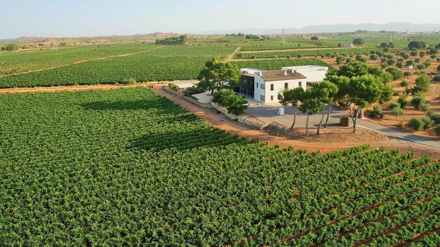 Bodegas Hispano+Suizas: La excelencia de unos cavas rodeados de glamour