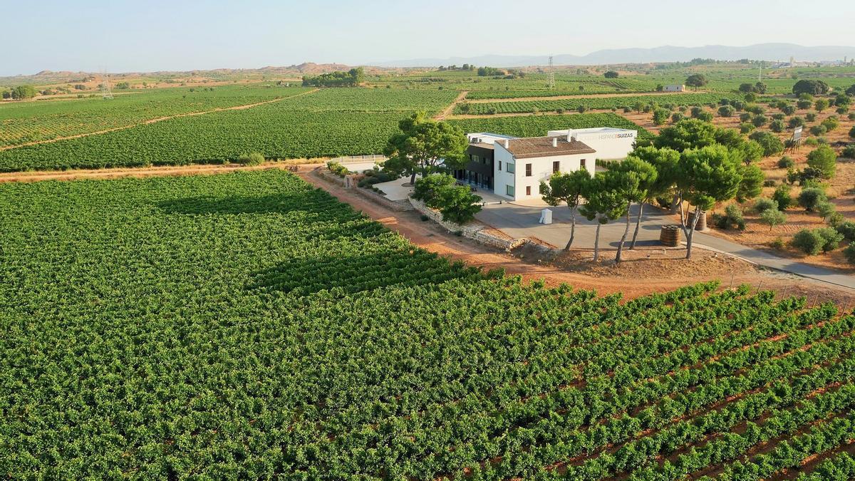 Vista aérea de la bodega y viñedos Hispano+Suizas.