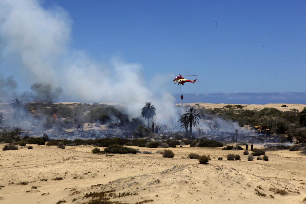 CONTROLADO EL CONATO DE INCENDIO DECLARADO EN ...