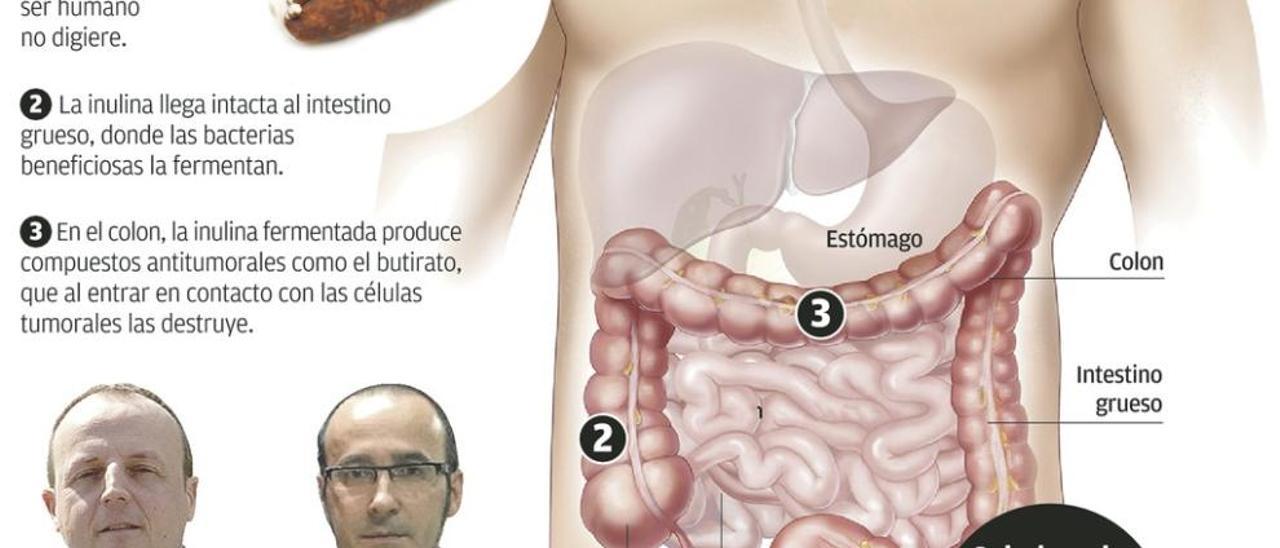 El chorizo y el jamón antitumorales