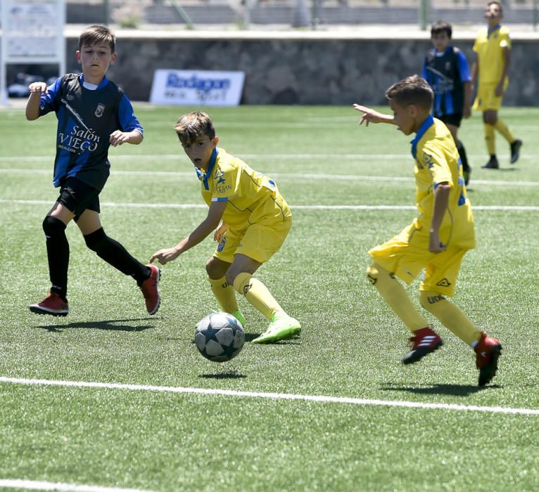 Partidos del Torneo Alevín en Maspalomas