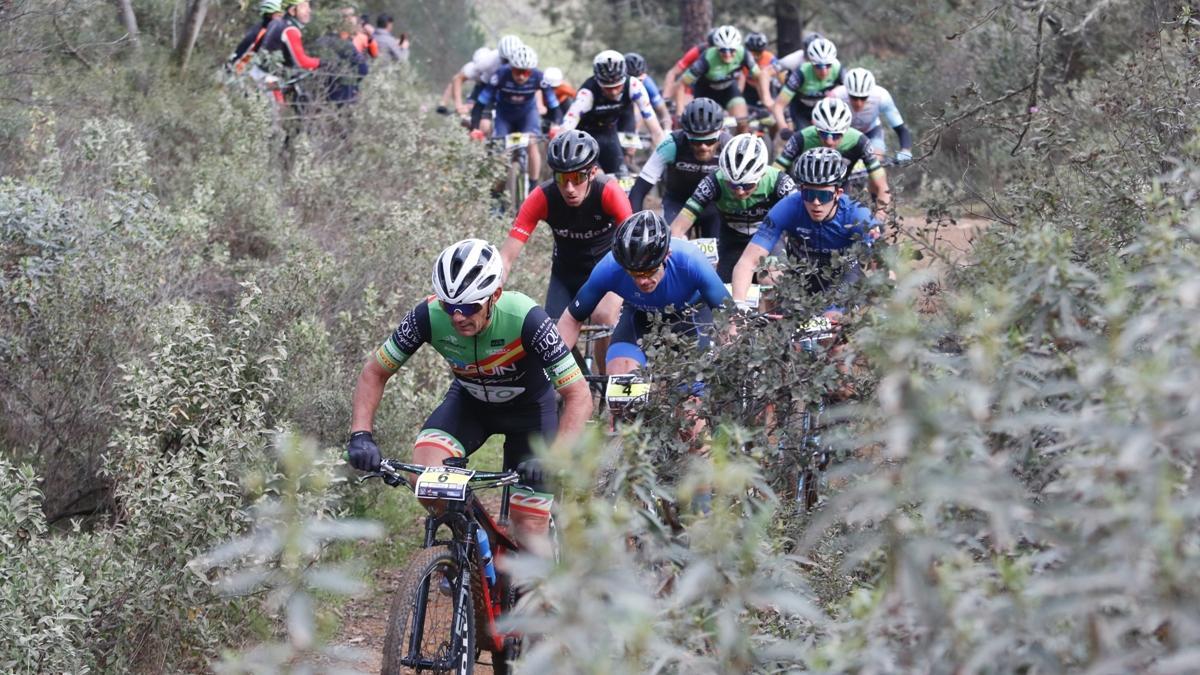 Varios ciclistas, en una prueba de bici de montaña.