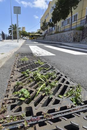 Barrios que buscan fondos europeos | Zárate