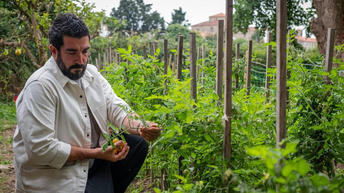 La huerta de Casa RÍA