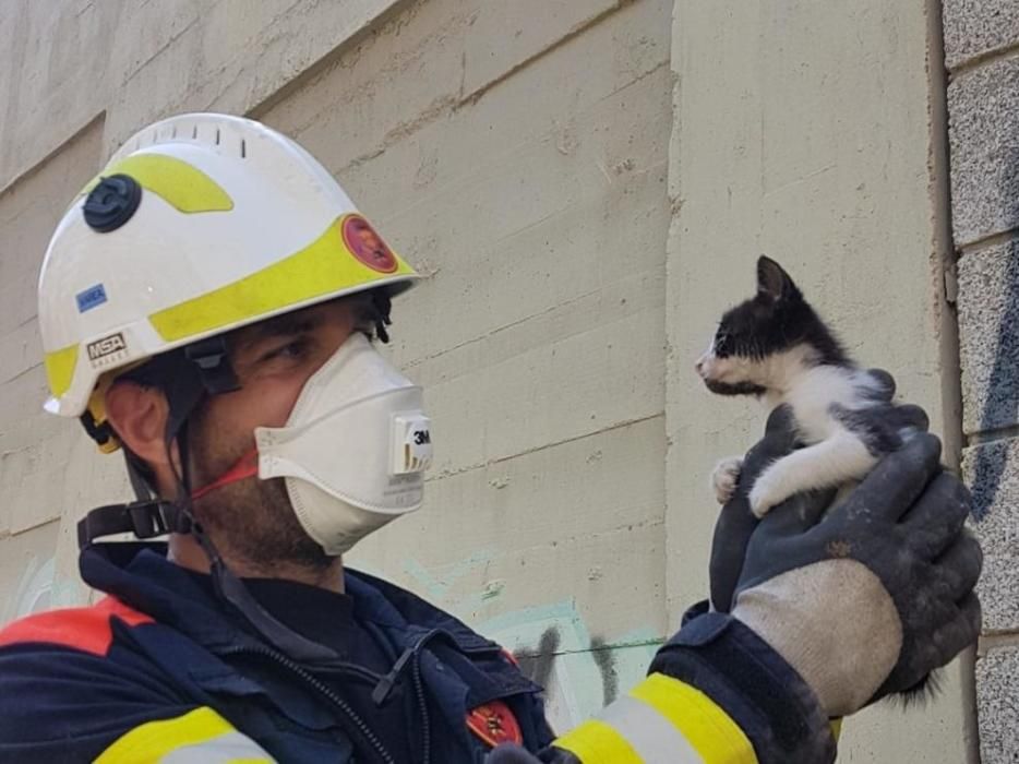 Bomberos salva a un gatito que se coló en una tubería