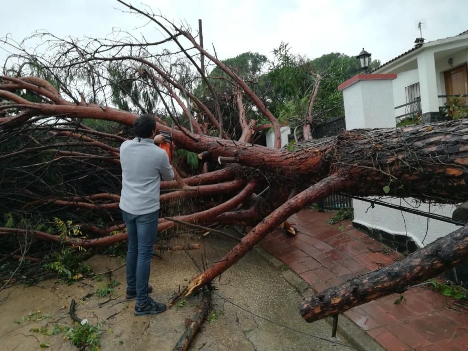 Destrosses a Riells i Viabrea per un tornado