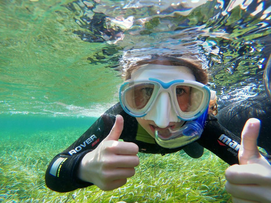 Zambullida para conocer la posidonia