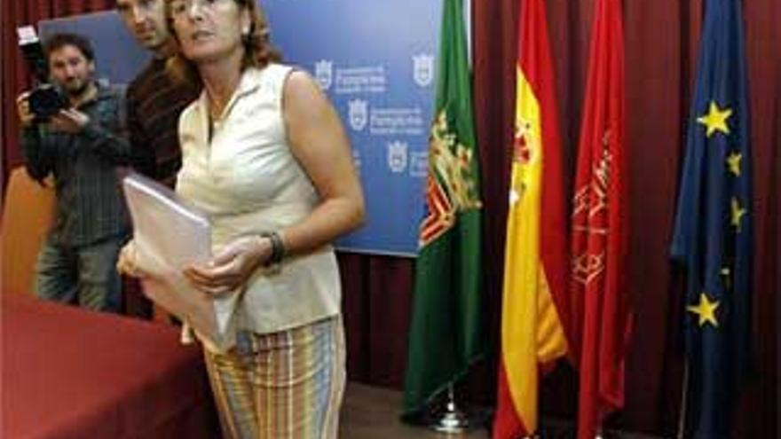 ANV traslada al pasillo una rueda de prensa al no poder tapar la bandera española