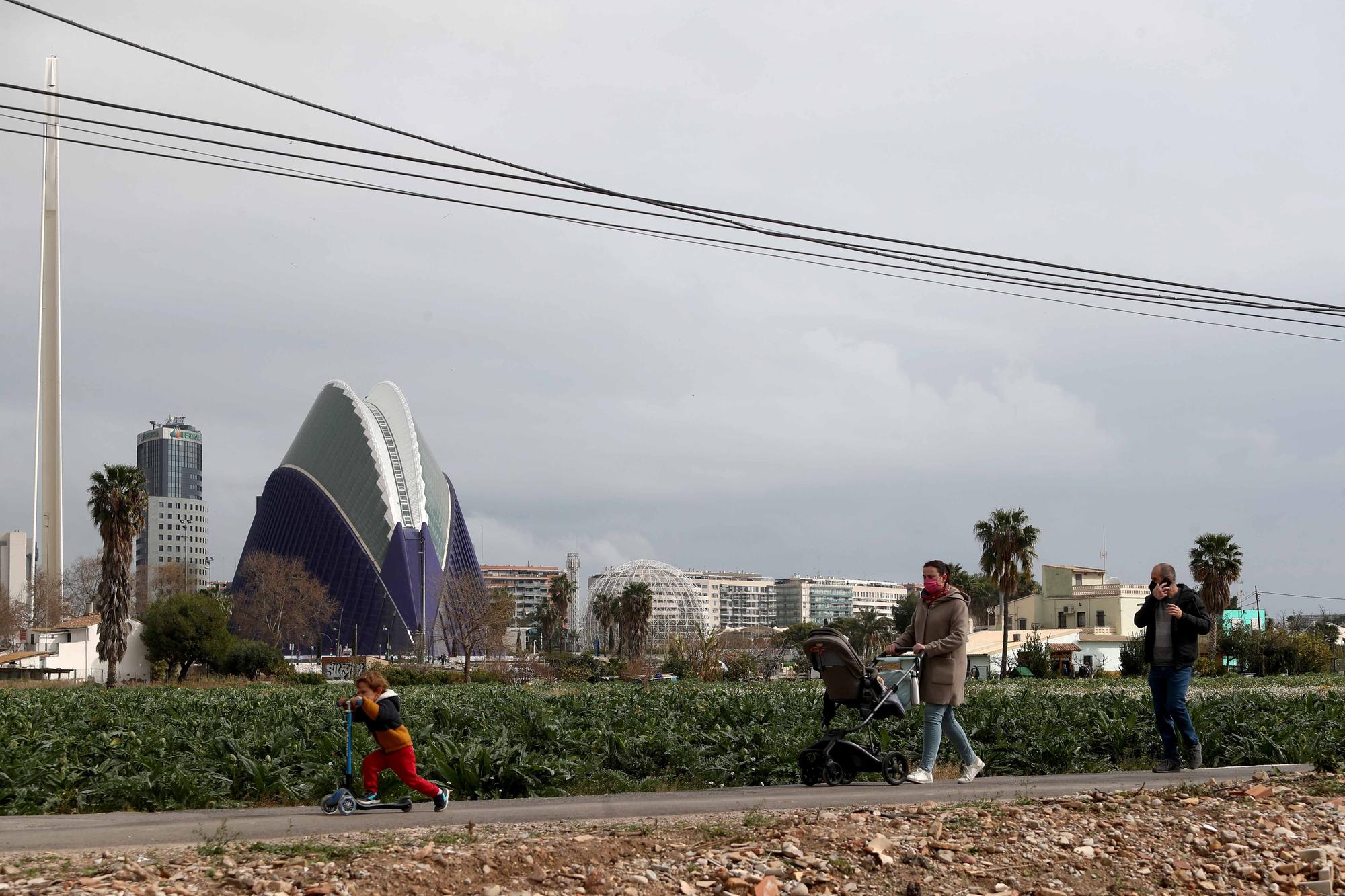 Los valencianos redescubren la huerta en los paseos de confinamiento