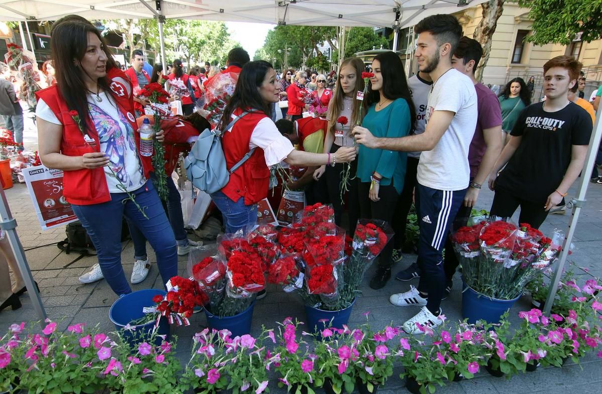 Cruz Roja reparte claveles por la igualdad