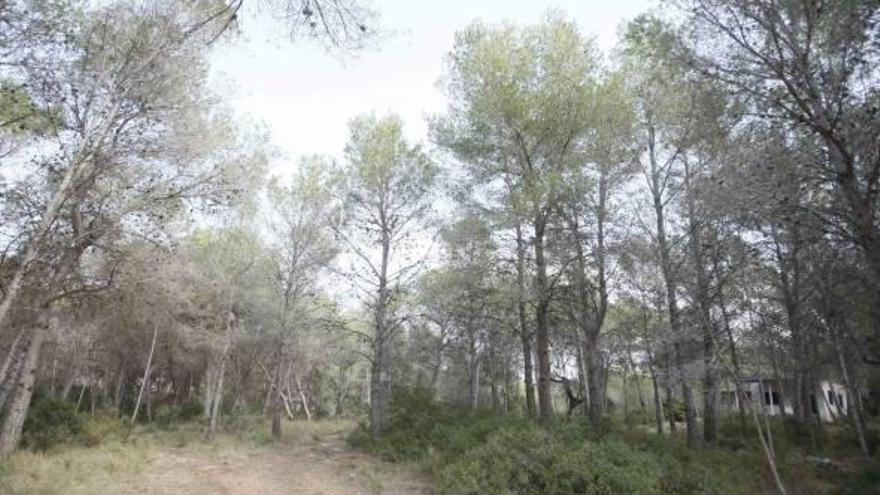 Una vista de la Montaña de Romeu.