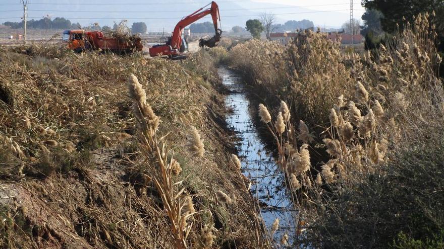 Labores de limpieza realizadas en la Acequia del Rey de Villena.