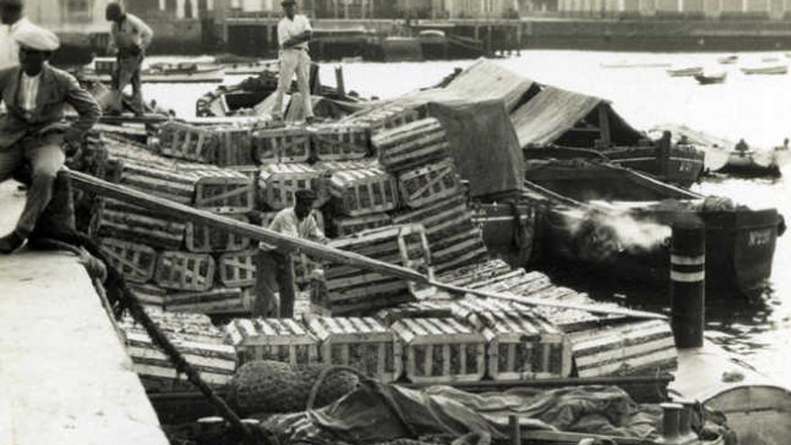 Barcos cargados de fruta de la consignataria Miller y Cía. | lp / dlp