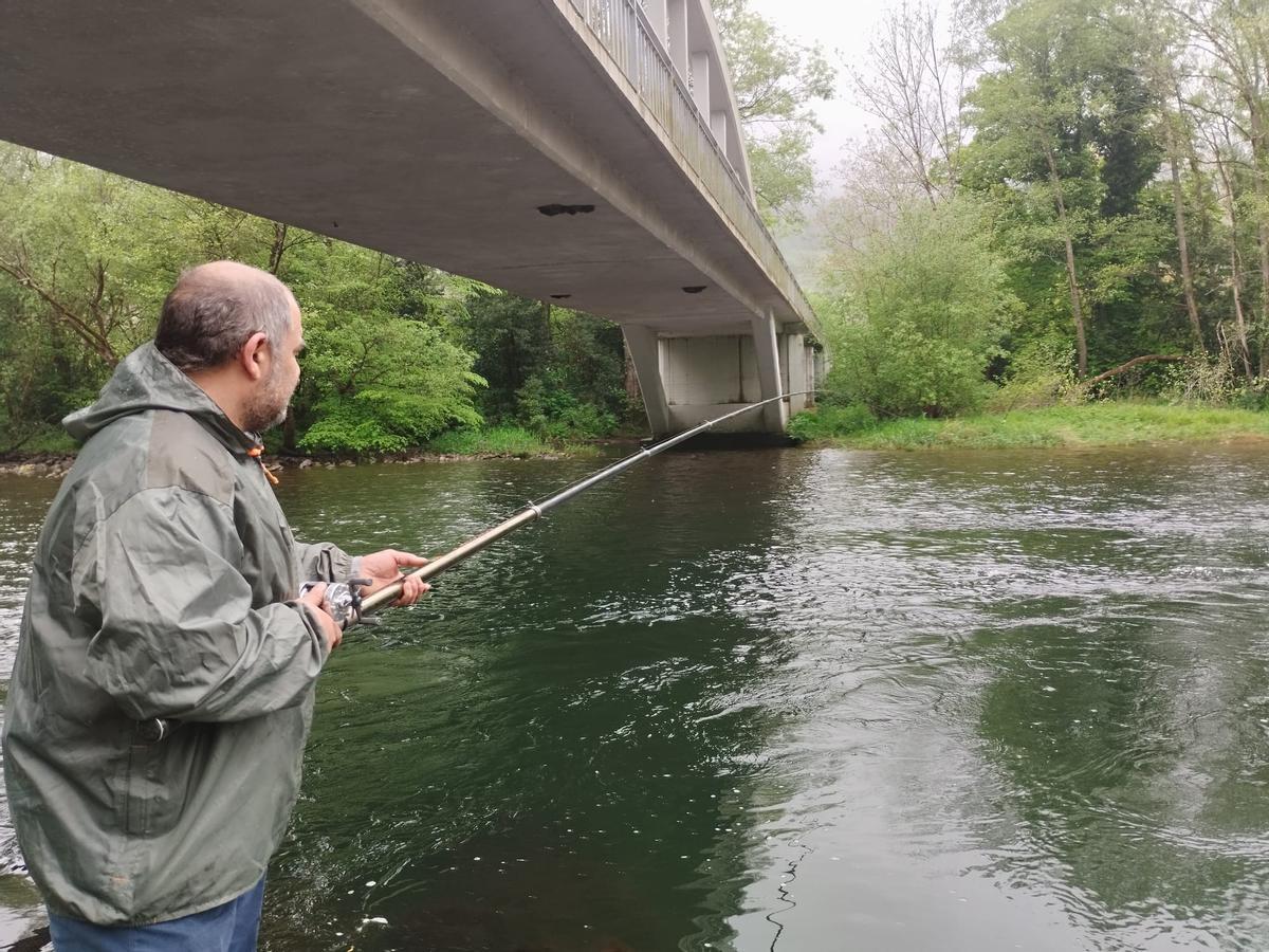 Muchos pescadores y pocos salmones en el Narcea a su paso por Salas, en imágenes