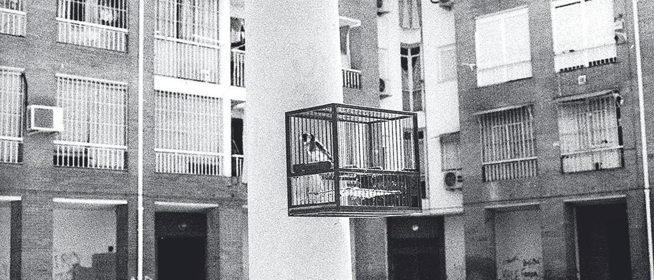 Metáfora. Un pájaro enjaulado en el barrio de Las Palmeras.