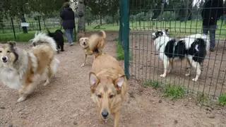 Sadeco prevé construir diez nuevos parques caninos y llegar a veinticuatro