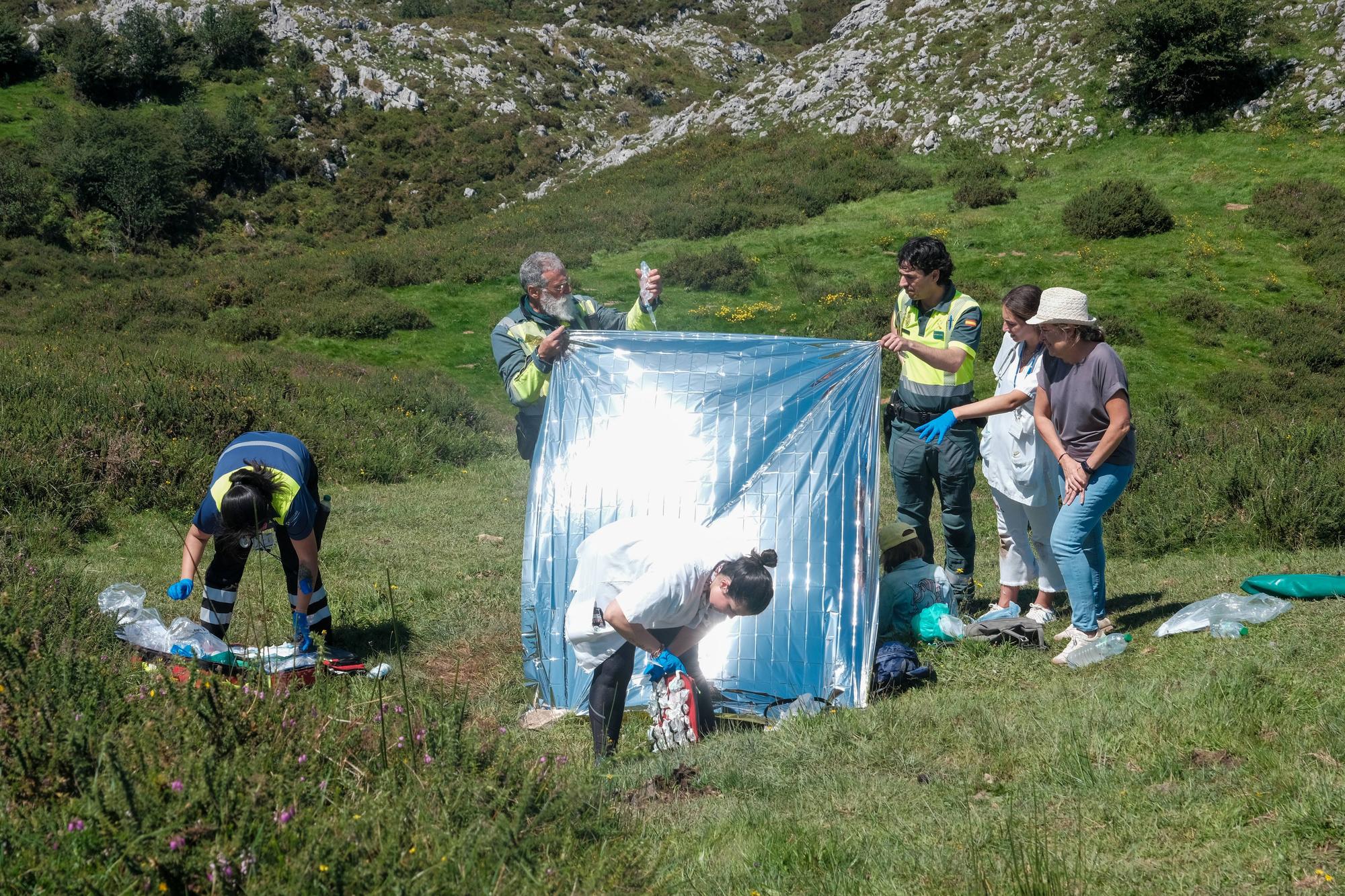 Grave accidente en Covadonga al despeñarse un autobús con niños que iba a los Lagos