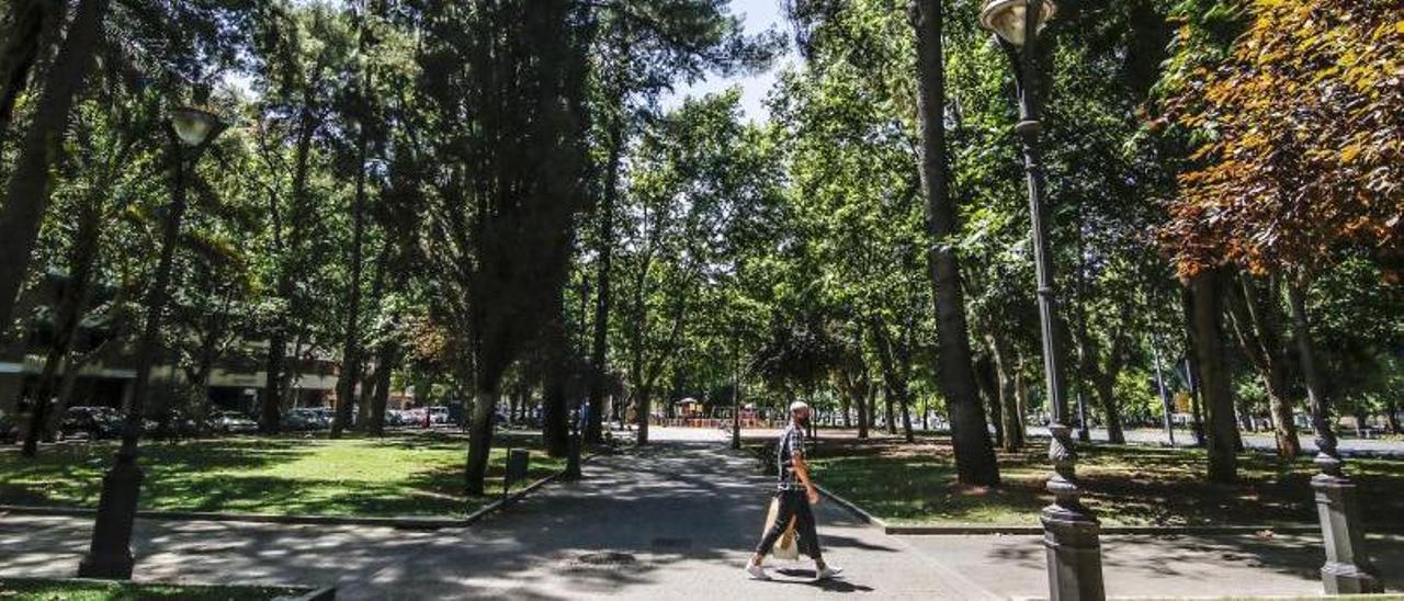 Los cerca de 84.000 árboles existentes son insuficientes para adaptarse a la emergencia climática.