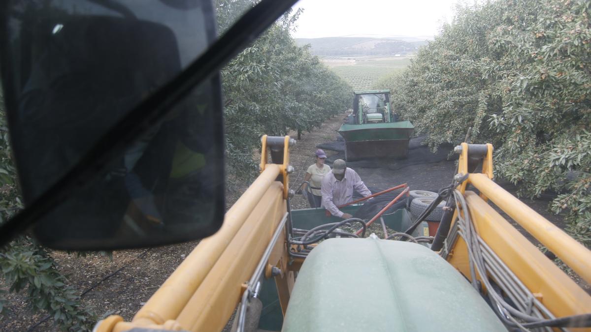 Los jóvenes son los que más apuestan por la modernización de las explotaciones agrarias.