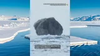 Observan un misterioso iceberg negro: ¿Cómo se formó?