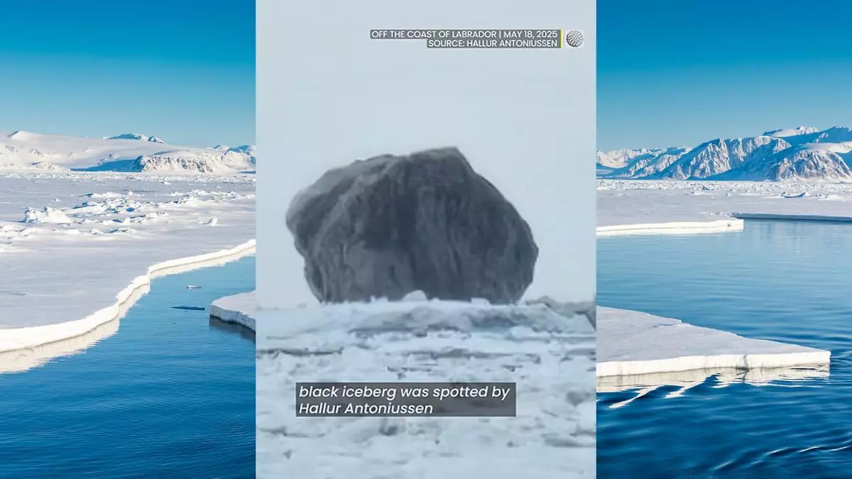 Observan un misterioso iceberg negro: ¿Cómo se formó?