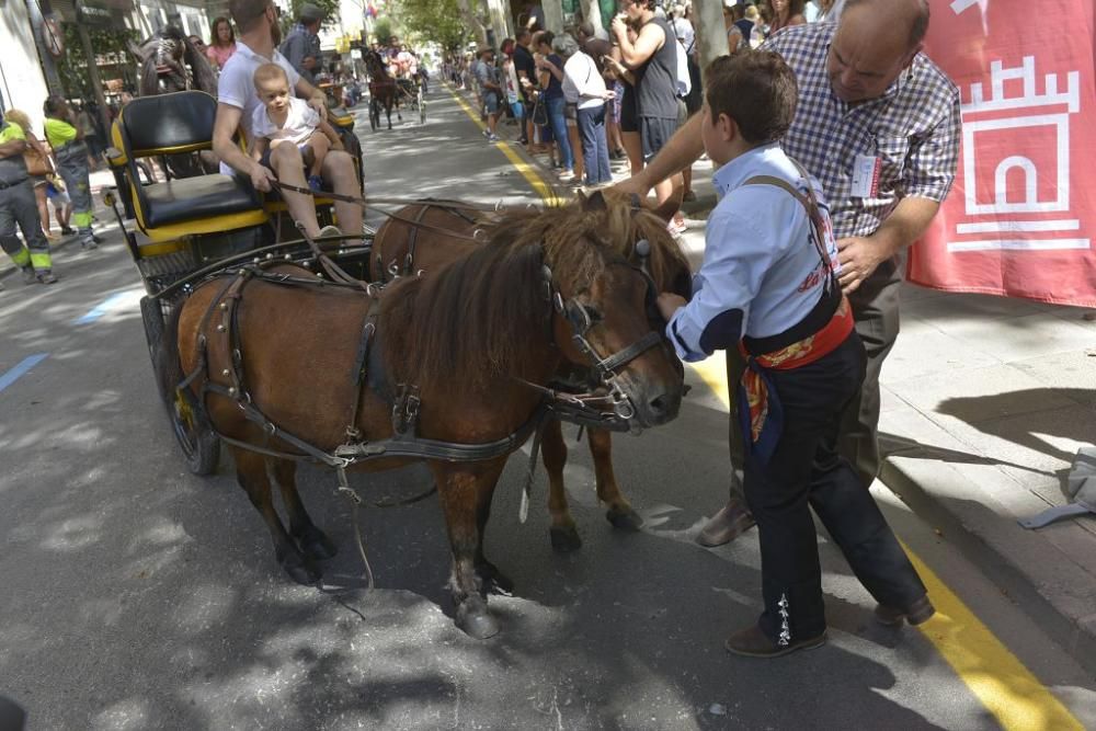 Día del caballo en la Feria de Murcia