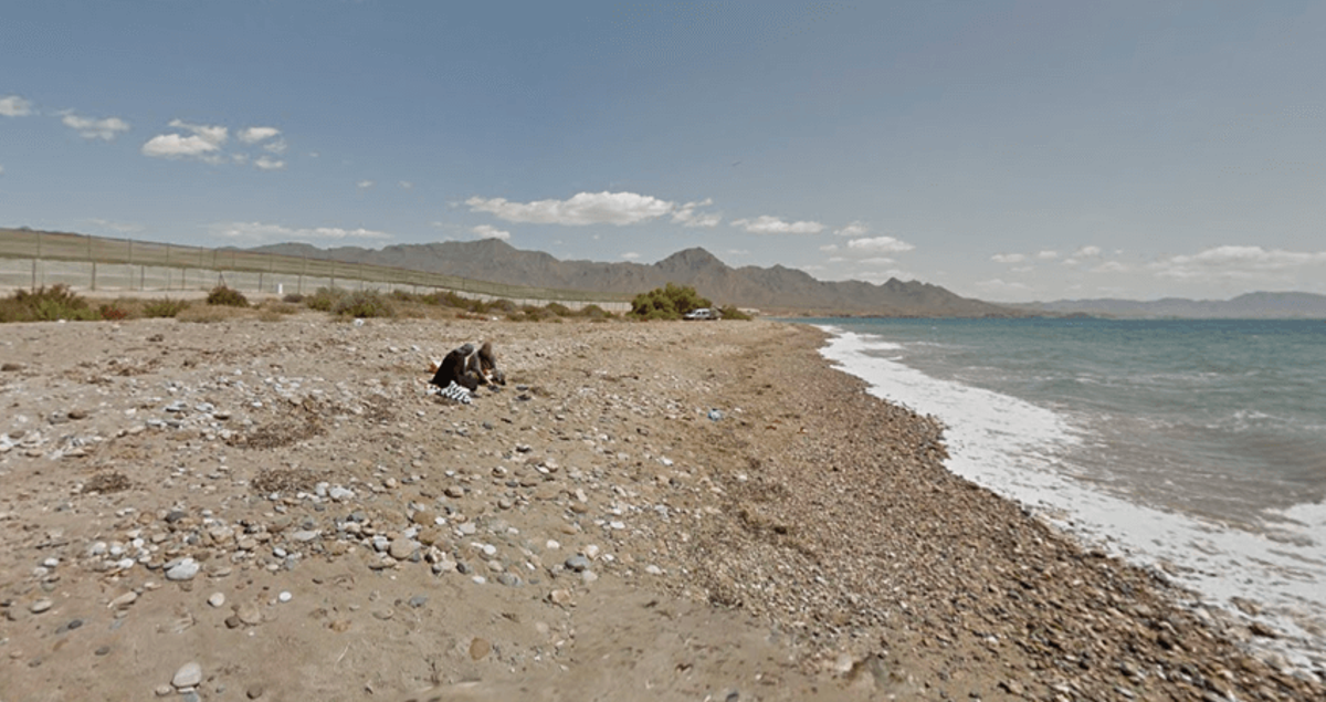 Playas para perros en la Región de Murcia