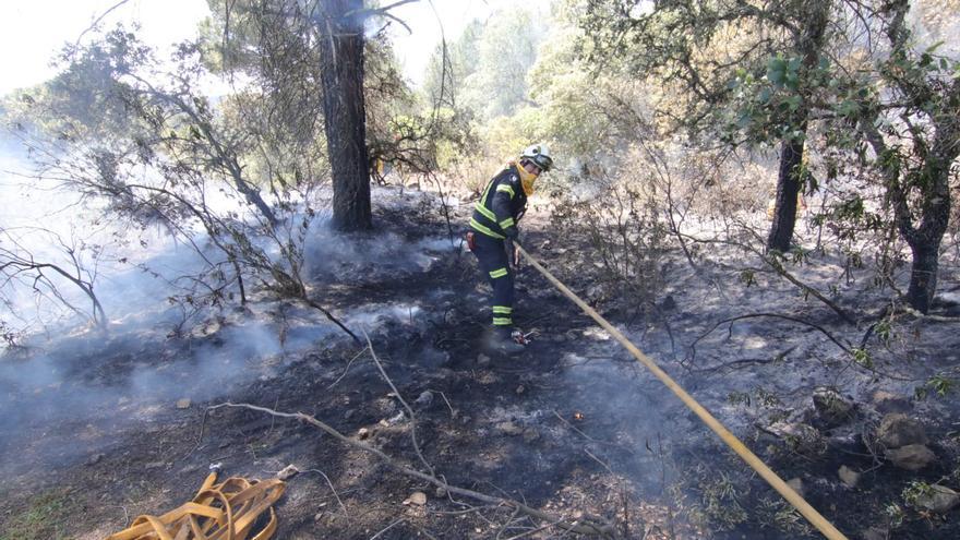 Extinguido el incendio forestal declarado en la zona de Las Jaras