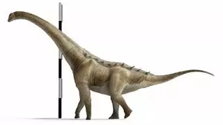 Este es el nuevo dinosaurio gigante descubierto en Cuenca