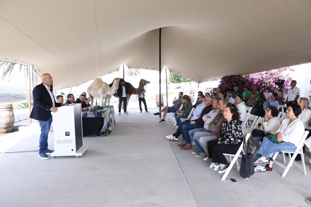 Presentación de la Lanzarote Wine Run 2026, este lunes en Finca Testeina, en La Geria