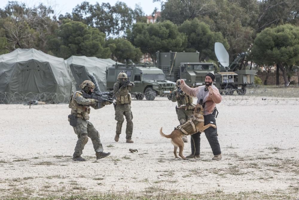 Los boinas verdes son soldados expertos en operaciones que, por su alta especialización, no pueden se desarrolladas por otras unidades, como el rescate de rehenes, reconocimientos especiales o captura