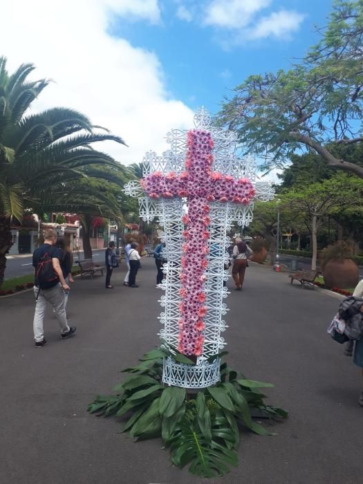 Concurso de Cruces de Flores Naturales