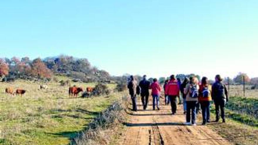 Una empresa ofrece turismo cultural y de naturaleza