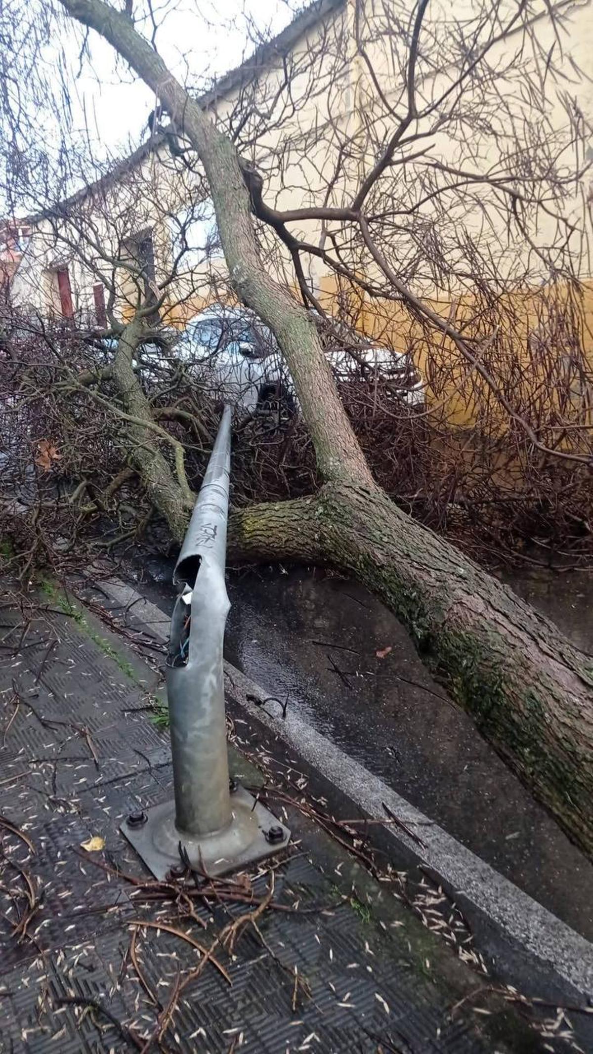 Fotogalería | Un tornado provoca numerosos destrozos en Plasencia Fotogalería | Un tornado provoca numerosos destrozos en Plasencia