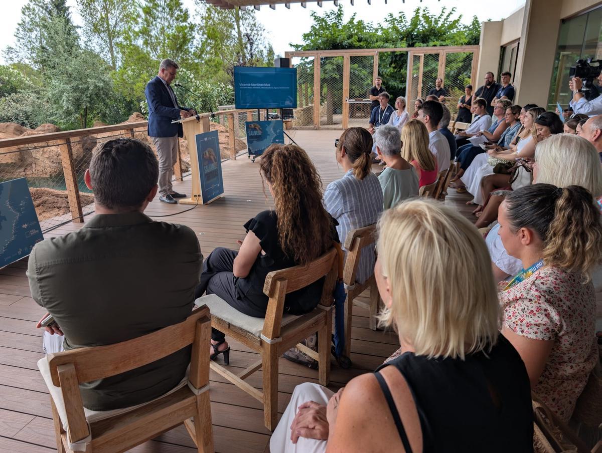 GALERÍA I La presentación de la nueva campaña para rescatar tortugas marinas, en imágenes