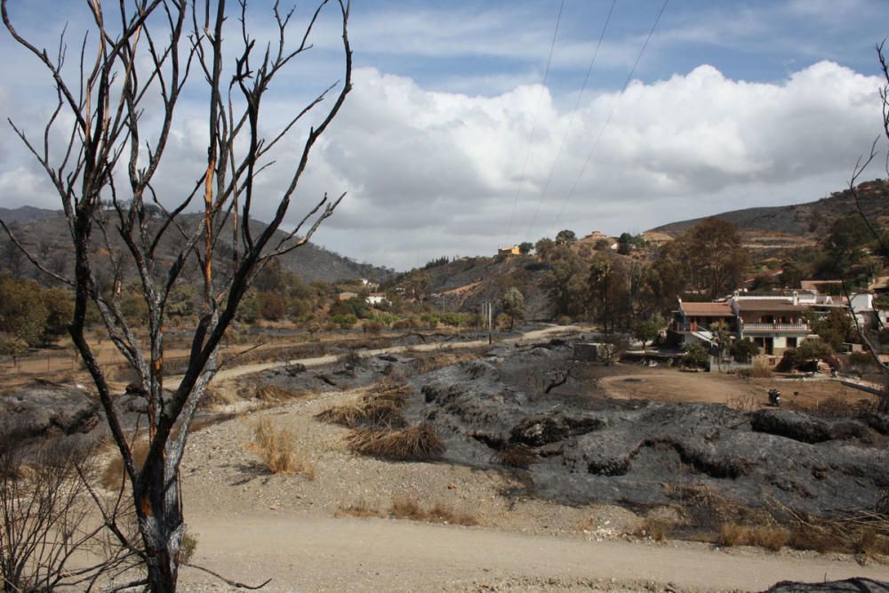 Cinco años desde el gran incendio de la Costa del Sol